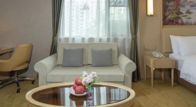 Люкс Standard Vienna Hotel Ru Gao East Store