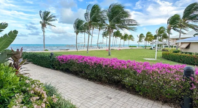 Двухместный номер Standard с видом на океан Holiday Inn Resort Grand Cayman by IHG
