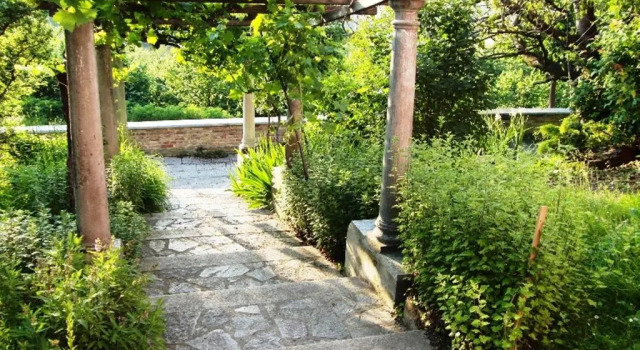 Suite Hazelnut Valley
