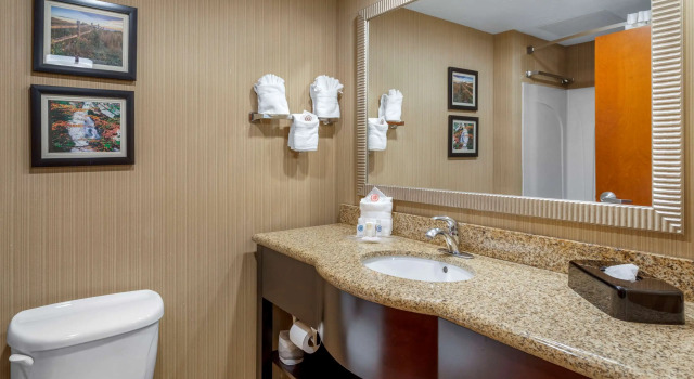 Двухместный люкс Comfort Suites Knoxville North