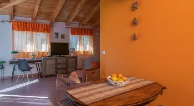 Apartment Orange 29