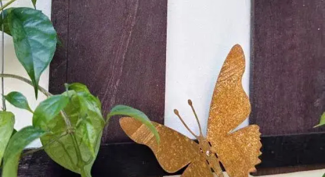 Thai Tom s GuestHouse, Забронировать Отель Отели Чиангмай 3 звезды, рядом с Art in Paradise Chiang Mai, 3*