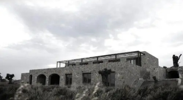 Datca Vineyard