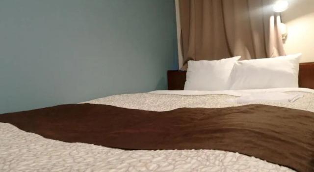 Hamamatsu Station Hotel - Vacation STAY 65830