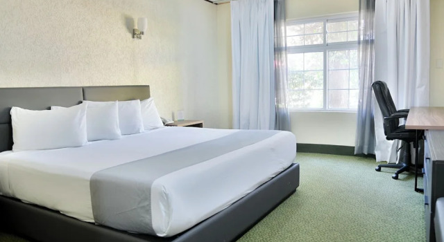 Номер Premium Hotel Sicomoro