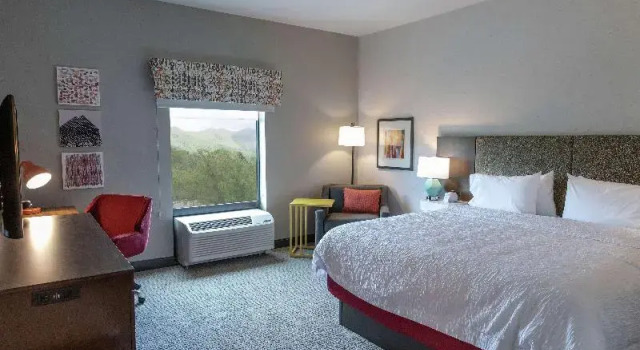Двухместный люкс Hampton Inn Black Mountain