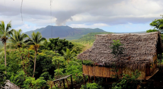 Volcano Tree Venture Bungalows, Réserver Hôtel Tanna Island Tanna