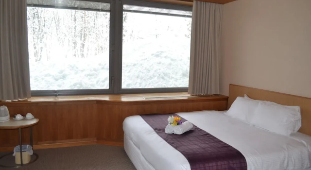 Номер Standard Aqua Alpine Hotel