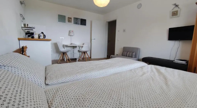 Номер Standard Guest House Dolomiti Mountain View Apartment