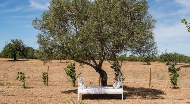 Pensão Agrícola, Забронировать Отель Тавира Nature Reserve Ria Formosa