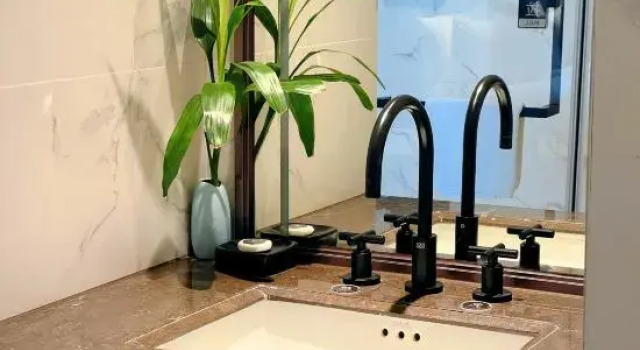 Люкс Deluxe Suzhou Jiangnan Botanical Garden Hotel