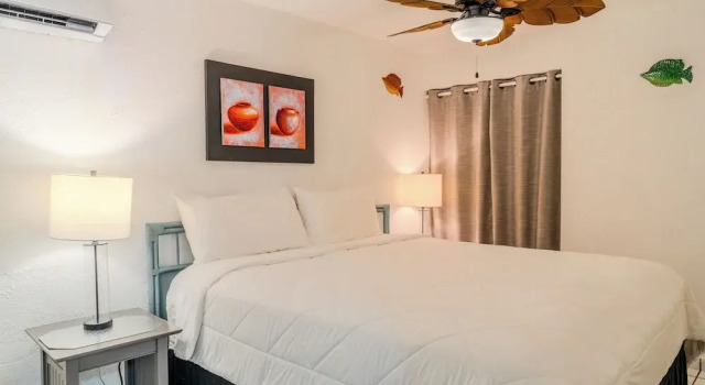Номер Standard Coconut Palms Rincon