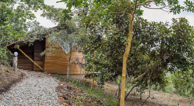 Номер Superior Huasai Wasi Ecolodge
