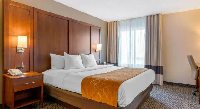 Comfort Suites South Haven near I-96, Buchen Sie Hotel South Haven 