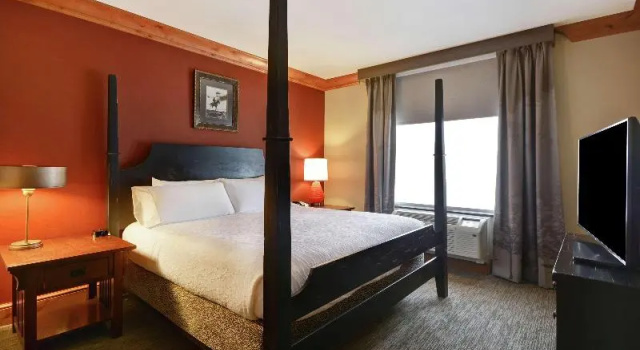 Двухместный люкс Deluxe Hilton Garden Inn Missoula