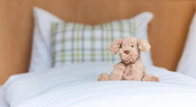 Двухместный номер Superior Hotel Der Waldhof