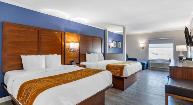 Comfort Suites St Louis - Sunset Hills, Prenota Hotel Hotel a Missouri con colazione, Colazione
