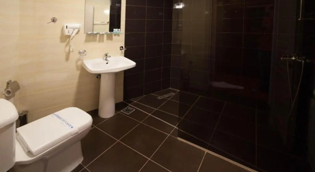 Номер Superior Hotel Lebed