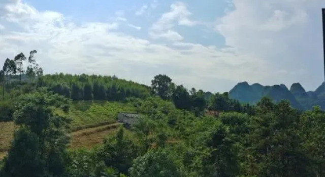 Yangshuo Nature Homestay, Prenota Hotel Hotel a Yangshuo con parcheggio, Parcheggio