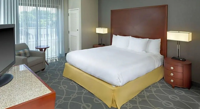 Номер Premium DoubleTree by Hilton Biltmore/Asheville