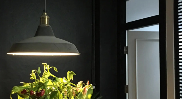 Кровать в общем номере Niitra Hostel