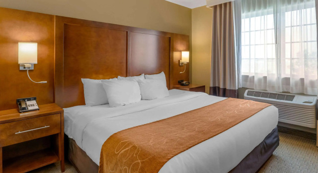 Двухместный люкс Comfort Suites Burlington