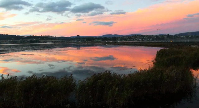 Номер Standard OMEO Clearlake oaks