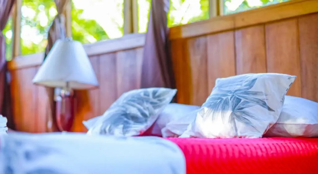 Бунгало с видом на сад Отель Casa Drake Lodge