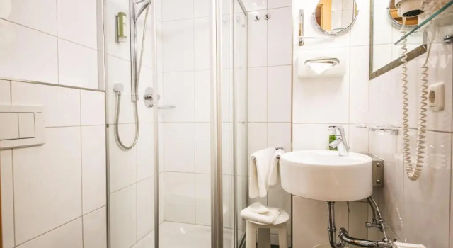 Одноместный номер Standard Hotel Grieshof