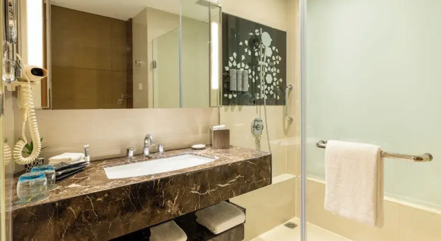 Номер Standard с видом на город Courtyard by Marriott Agra