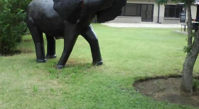Elephant Lodge Guesthouse