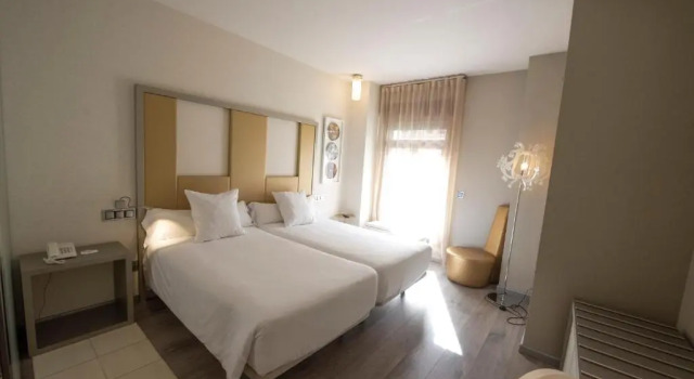 Двухместный номер Executive Hotel & Spa Princesa Munia
