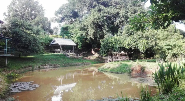 Dreamhome Chiangdao