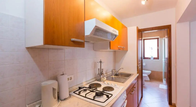 Апартаменты c 1 комнатой Apartments Radojka