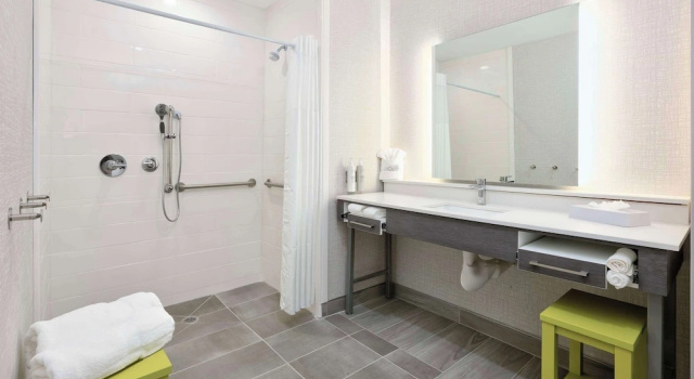 Двухместный люкс Hampton Inn & Suites Dalhart