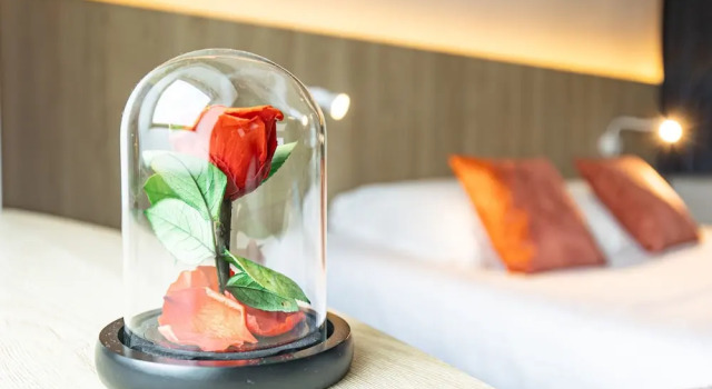 Двухместный номер Superior с видом на море Logis Hôtel de France - Face à la Mer