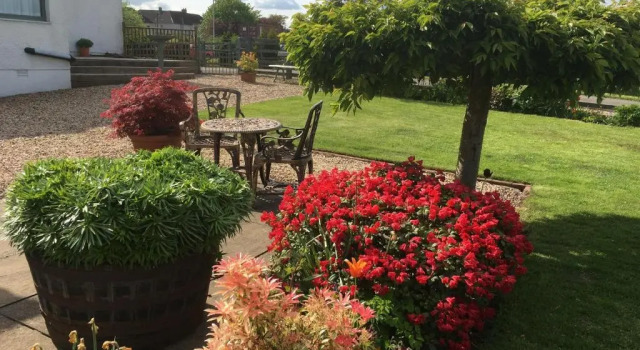 Номер Standard Auchenlea lodges