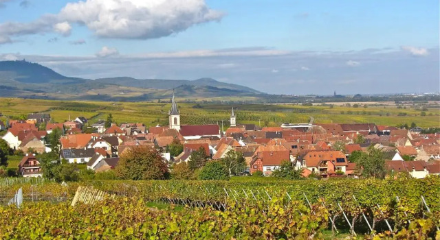 Коттедж Gîte du Vignoble