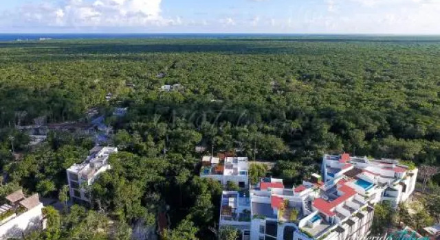 Lunata Studio 202, Rezerwuj Hotel Hotele w Quintana Roo z parkingiem, Parking