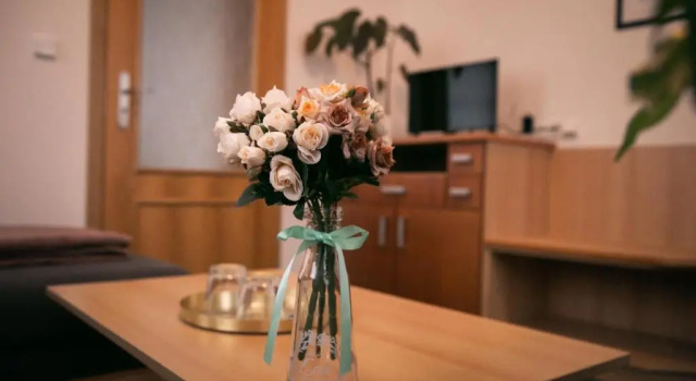 Люкс Comfort Penzion Hotelu Central