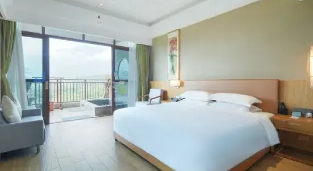 Одноместный люкс Skov River Resort