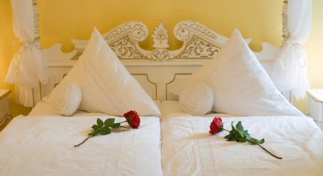 Одноместный номер Superior SchlossHOTELGedern