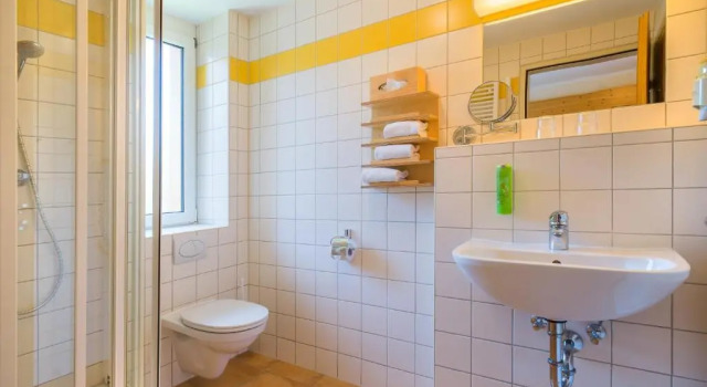 Двухместный номер Economy JUFA Hotel Bad Aussee