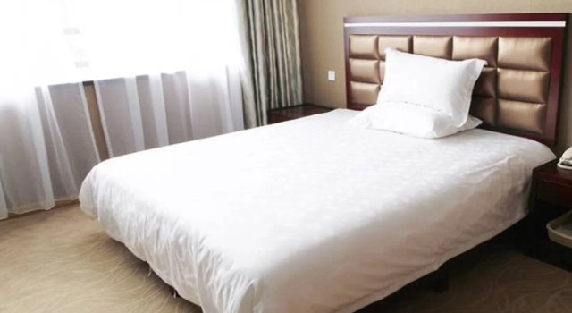 Greentree Inn Hubei Wuhan High Speed Rail Station Express Hotel, Prenota Hotel Qingshan Wuhan