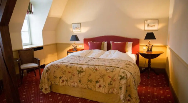 Двухместный номер Deluxe с видом на парк Hotel Château Bela
