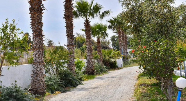 Апартаменты Kos Olympia Apartment Superior at Lambi Beach