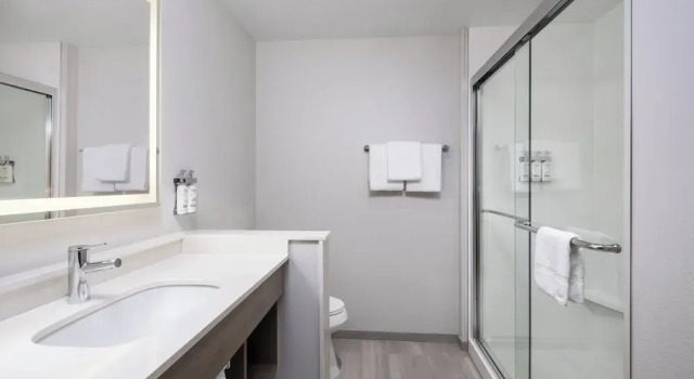 Номер Standard Holiday Inn Express & Suites Buford - Mall of Georgia by IHG