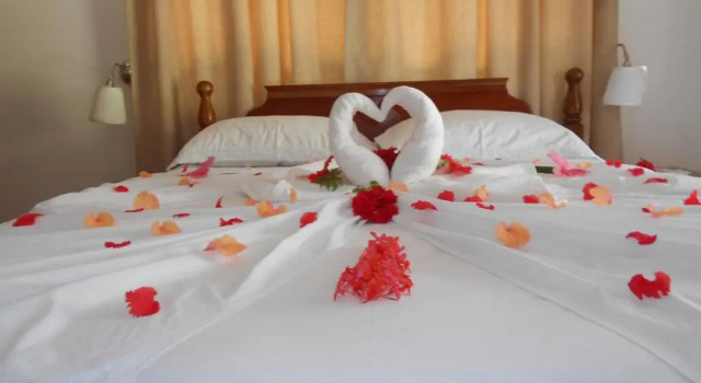 Camera Standard Pension Hibiscus