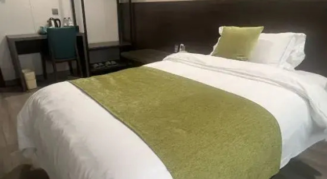 Одноместный номер Standard Chengdu CYTS Shanshui Fashion Hotel