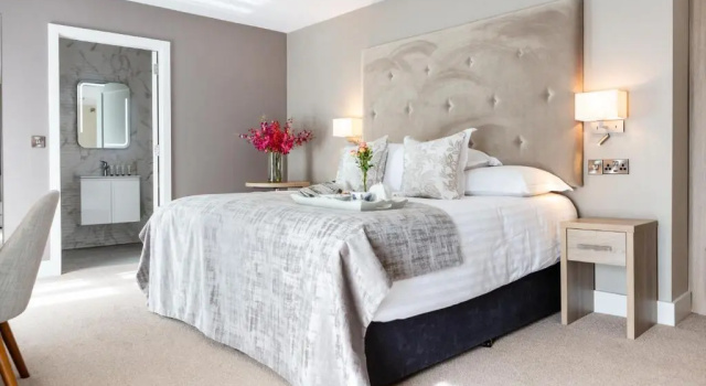 Двухместный номер Superior Gleesons Townhouse Booterstown